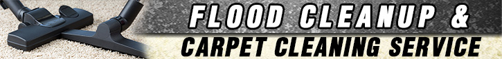 Tips | Carpet Cleaning Sun Valley, CA